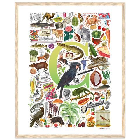 "C is for Curious" — a Renard Roux alphabet poster with English C words (chartreuse version)