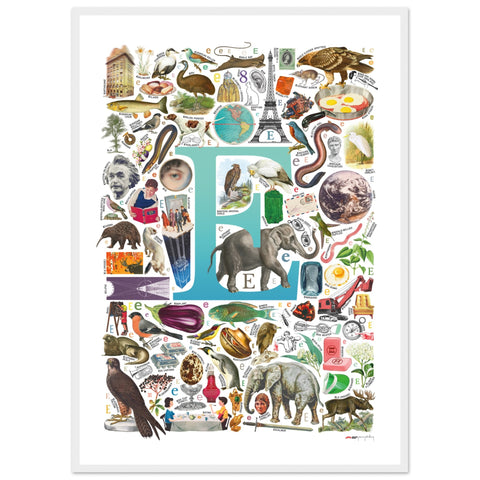 "E is for Explore" — a Renard Roux alphabet poster with English E words (turquoise version)