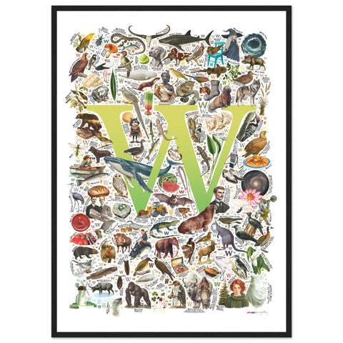 "W is for Wonder" — a Renard Roux alphabet poster with English W words (chartreuse version)