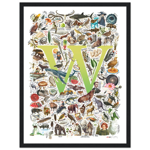 "W is for Wonder" — a Renard Roux alphabet poster with English W words (chartreuse version)