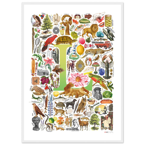 "L is for Learning" — a Renard Roux alphabet poster with English L words (chartreuse version)
