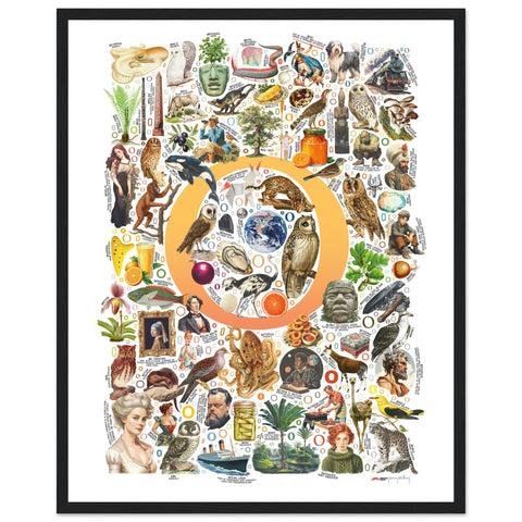 "O is for Original" — a Renard Roux alphabet poster with English O words (yellow version)