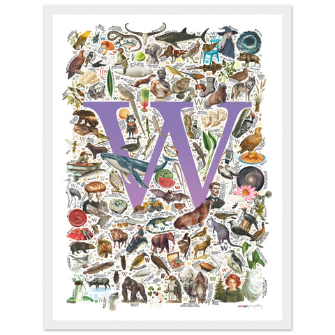 "W is for Wonder" — a Renard Roux alphabet poster with English W words (purple version)