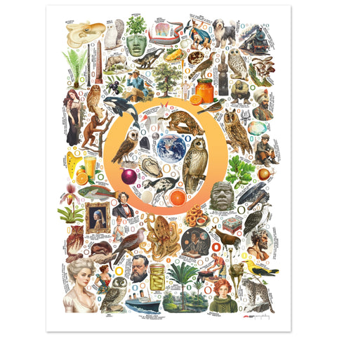 "O is for Original" — a Renard Roux alphabet poster with English O words (yellow version)
