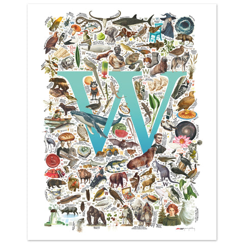 "W is for Wonder" — a Renard Roux alphabet poster with English W words (turquoise version)