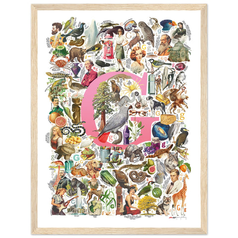 "G is for Great" — a Renard Roux alphabet poster with English G words (pink version)