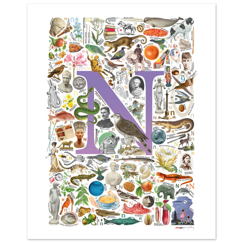 "N is for Nature" — a Renard Roux alphabet poster with English N words (purple version)