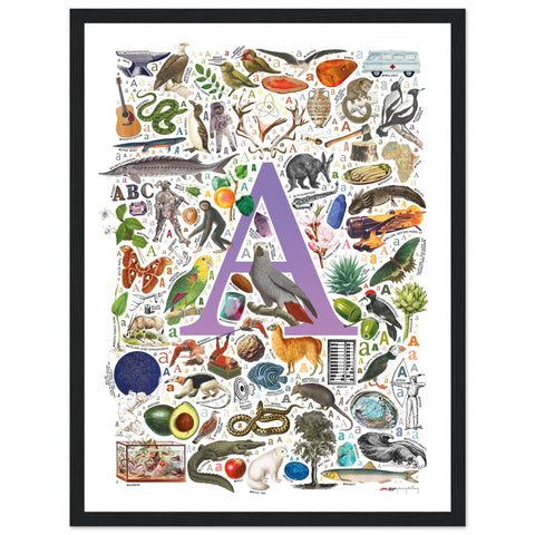 "A is for Adventure" — a Renard Roux alphabet poster with English A words (purple version)