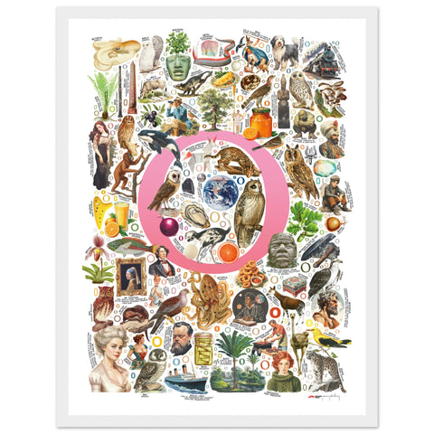 "O is for Original" — a Renard Roux alphabet poster with English O words (pink version)