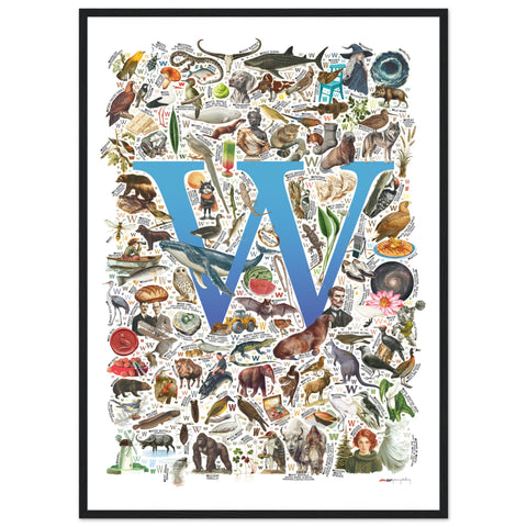 "W is for Wonder" — a Renard Roux alphabet poster with English W words (blue version)
