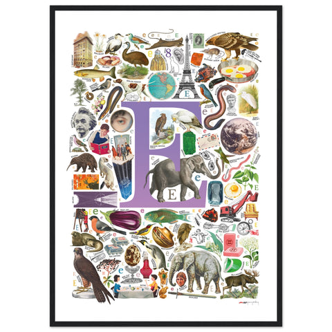 "E is for Explore" — a Renard Roux alphabet poster with English E words (purple version)
