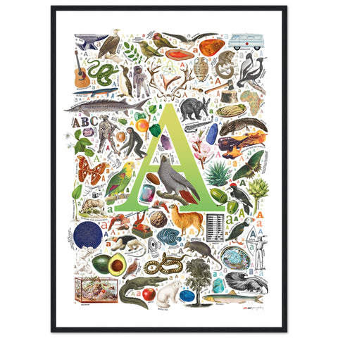 "A is for Adventure" — a Renard Roux alphabet poster with English A words (chartreuse version)
