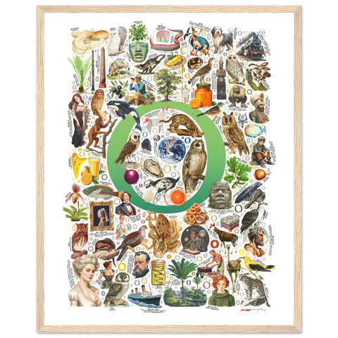 "O is for Original" — a Renard Roux alphabet poster with English O words (green version)