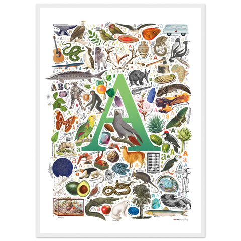 "A is for Adventure" — a Renard Roux alphabet poster with English A words (green version)
