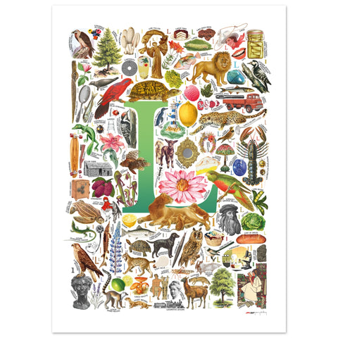 "L is for Learning" — a Renard Roux alphabet poster with English L words (green version)