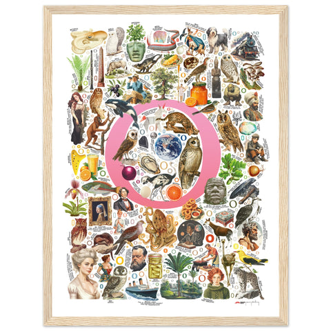 "O is for Original" — a Renard Roux alphabet poster with English O words (pink version)