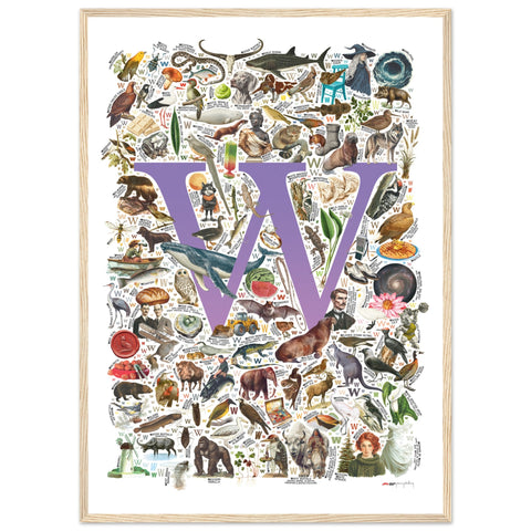 "W is for Wonder" — a Renard Roux alphabet poster with English W words (purple version)
