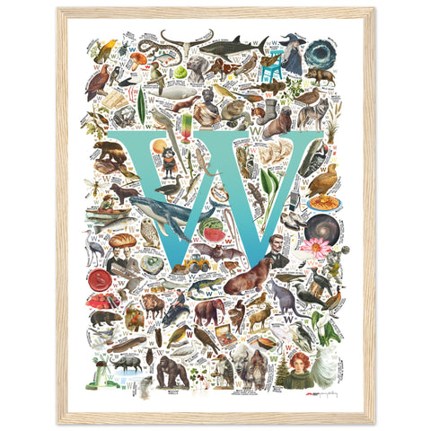 "W is for Wonder" — a Renard Roux alphabet poster with English W words (turquoise version)