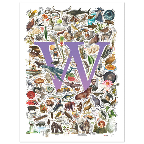 "W is for Wonder" — a Renard Roux alphabet poster with English W words (purple version)