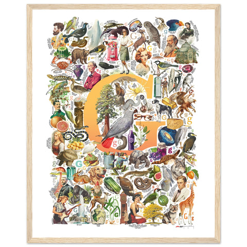 "G is for Great" — a Renard Roux alphabet poster with English G words (yellow version)