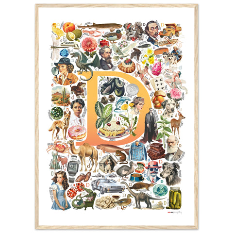 "D is for Discovery" — a Renard Roux alphabet poster with English D words (yellow version)