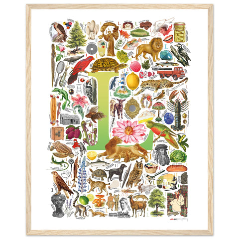 "L is for Learning" — a Renard Roux alphabet poster with English L words (chartreuse version)