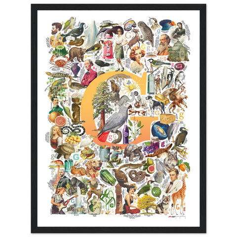 "G is for Great" — a Renard Roux alphabet poster with English G words (yellow version)