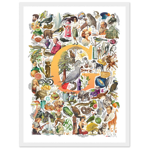 "G is for Great" — a Renard Roux alphabet poster with English G words (yellow version)