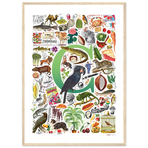 "C is for Curious" — a Renard Roux alphabet poster with English C words (green version)