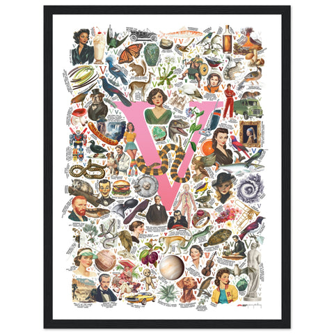 "V is for Voyage" — a Renard Roux alphabet poster with English V words (pink version)