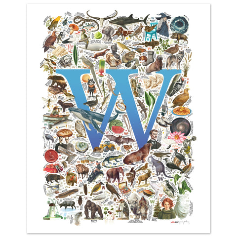 "W is for Wonder" — a Renard Roux alphabet poster with English W words (blue version)