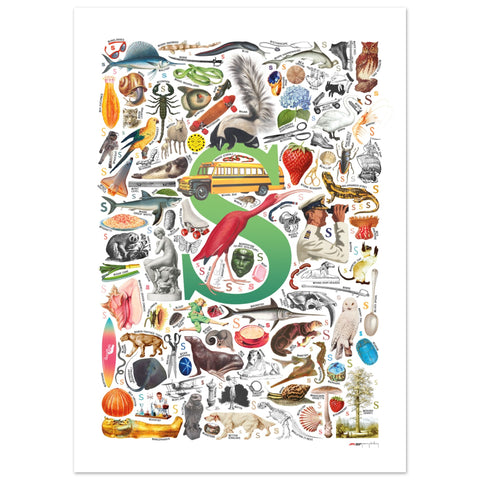 "S is for Surprise" — a Renard Roux alphabet poster with English S words (green version)