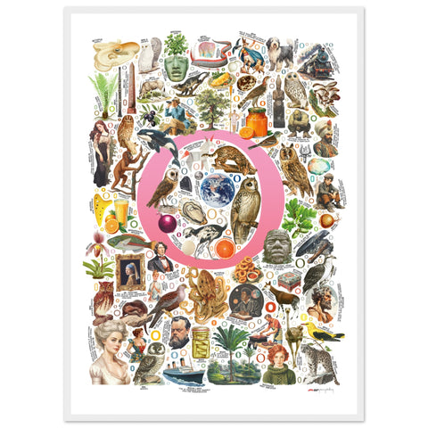"O is for Original" — a Renard Roux alphabet poster with English O words (pink version)