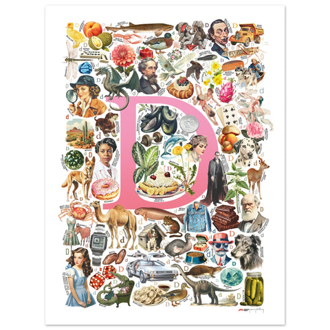 "D is for Discovery" — a Renard Roux alphabet poster with English D words (pink version)