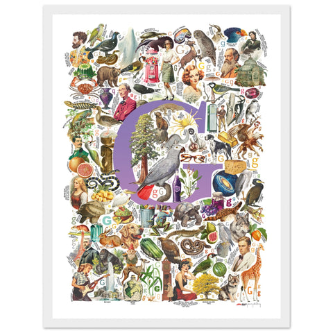 "G is for Great" — a Renard Roux alphabet poster with English G words (purple version)