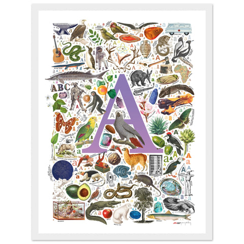 "A is for Adventure" — a Renard Roux alphabet poster with English A words (purple version)