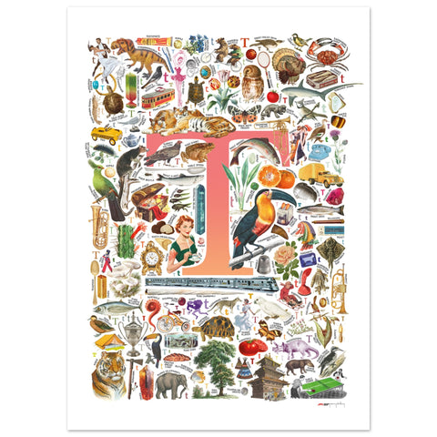 "T is for Treasure" — a Renard Roux alphabet poster with English T words (red version)