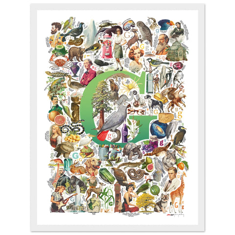 "G is for Great" — a Renard Roux alphabet poster with English G words (green version)