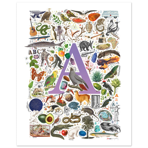 "A is for Adventure" — a Renard Roux alphabet poster with English A words (purple version)