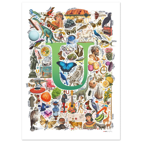 "U is for Unique" — a Renard Roux alphabet poster with English U words (green version)