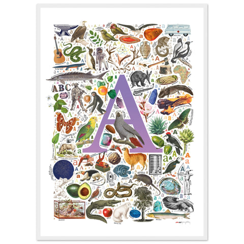 "A is for Adventure" — a Renard Roux alphabet poster with English A words (purple version)