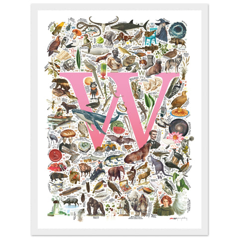 "W is for Wonder" — a Renard Roux alphabet poster with English W words (pink version)
