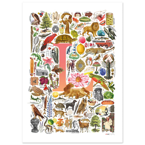 "L is for Learning" — a Renard Roux alphabet poster with English L words (red version)
