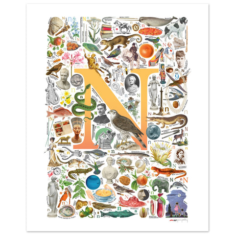 "N is for Nature" — a Renard Roux alphabet poster with English N words (yellow version)