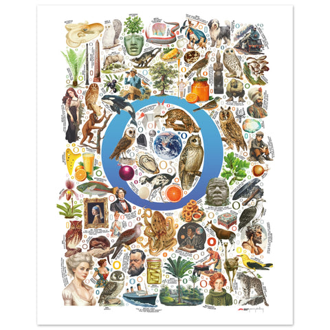 "O is for Original" — a Renard Roux alphabet poster with English O words (blue version)
