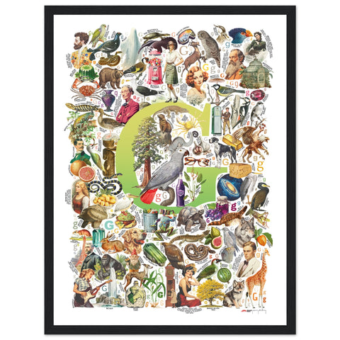 "G is for Great" — a Renard Roux alphabet poster with English G words (chartreuse version)