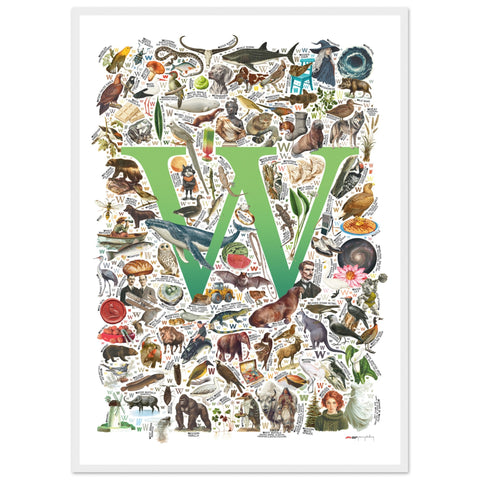 "W is for Wonder" — a Renard Roux alphabet poster with English W words (green version)