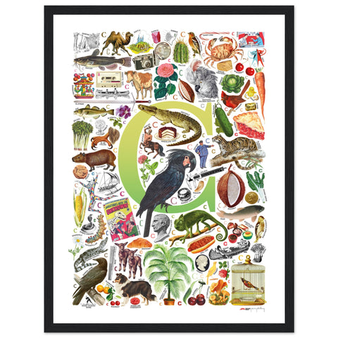 "C is for Curious" — a Renard Roux alphabet poster with English C words (chartreuse version)