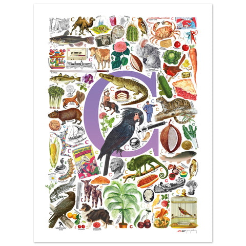 "C is for Curious" — a Renard Roux alphabet poster with English C words (purple version)