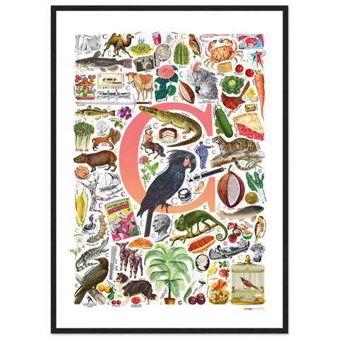 "C is for Curious" — a Renard Roux alphabet poster with English C words (red version)